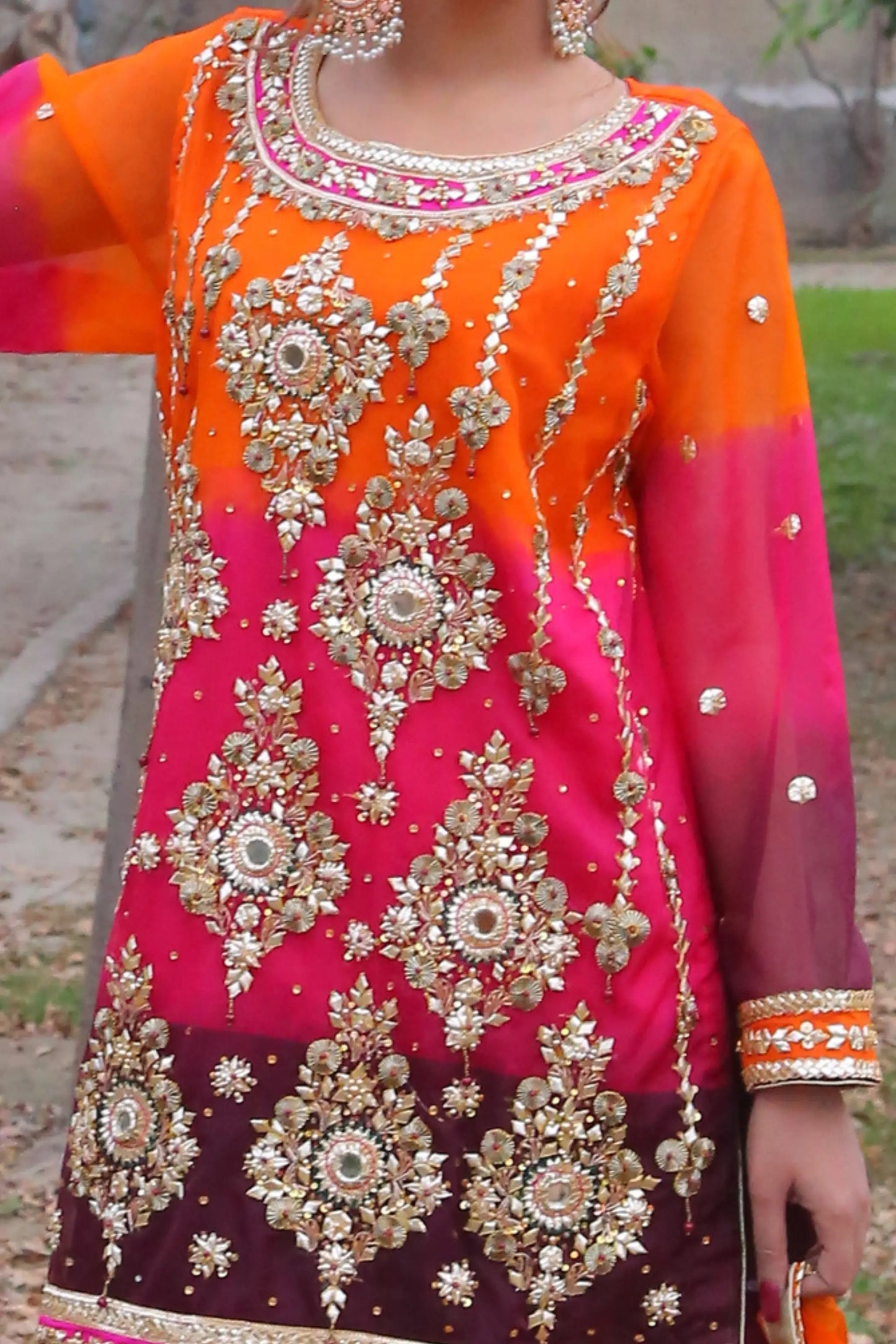 Back view of organza shirt and raw silk gharara